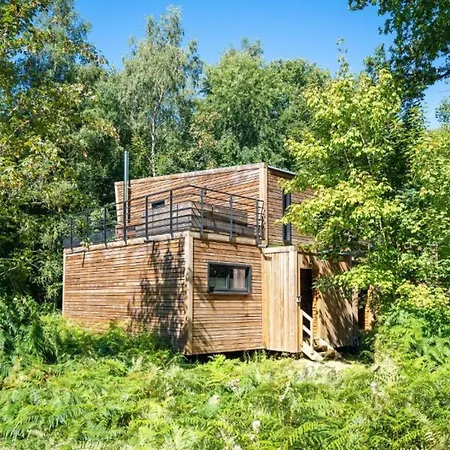 In Tournai With Forest View