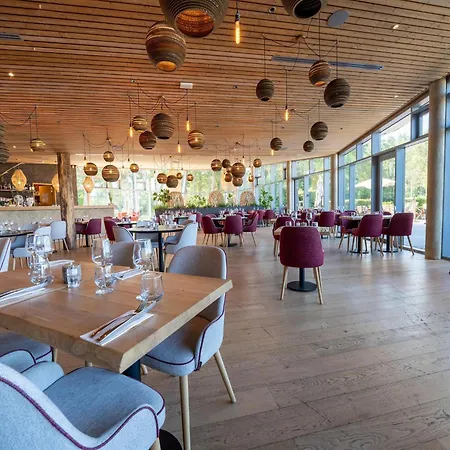 In Tournai With Forest View