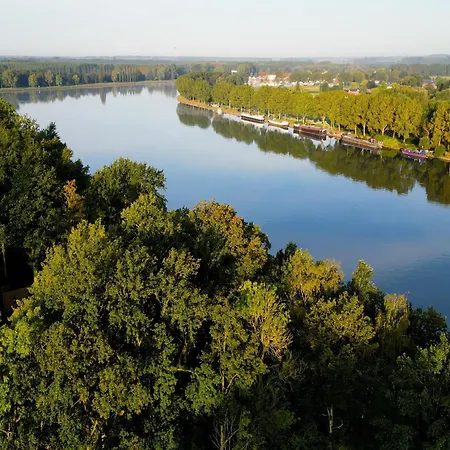 In Tournai With Forest View