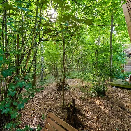 In Tournai With Forest View *