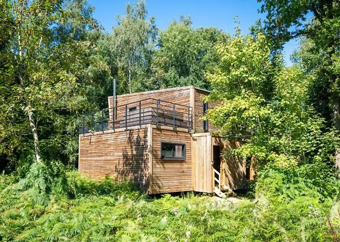 In Tournai With Forest View