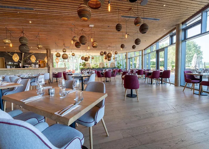 In Tournai With Forest View